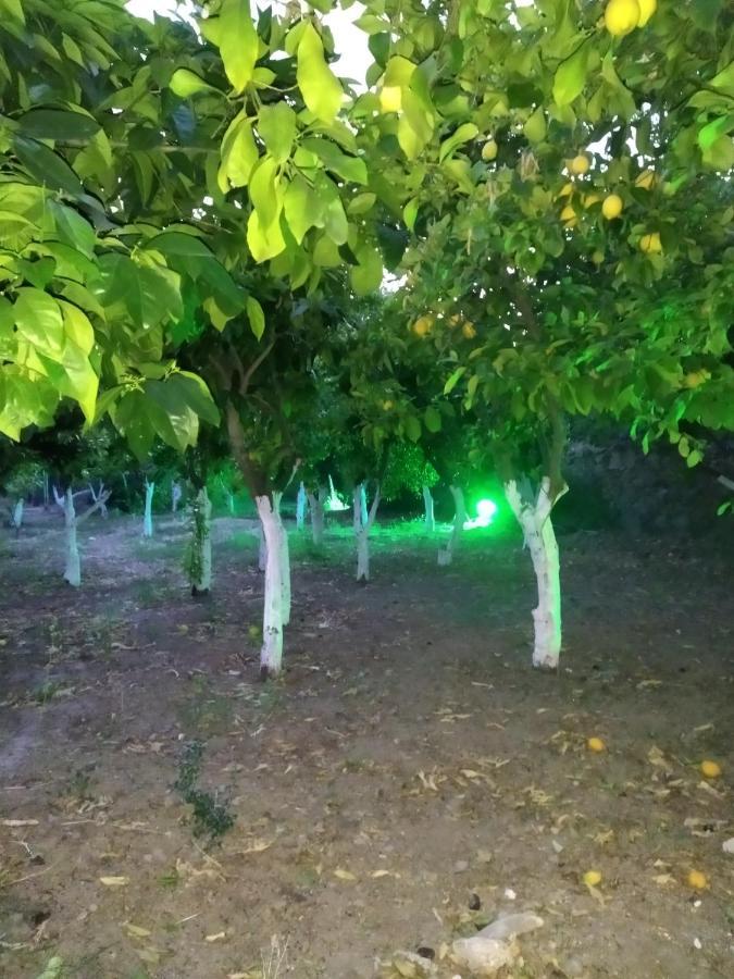 Вилла Περιβόλι Του Οδυσσέα Volissos Экстерьер фото