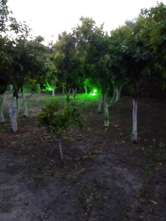 Вилла Περιβόλι Του Οδυσσέα Volissos Экстерьер фото